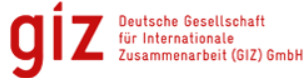 Deutsche Gesellschaft für Internationale Zusammenarbeit (GIZ)